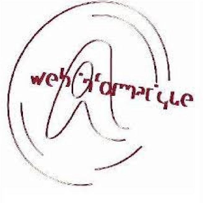 Web informatique
